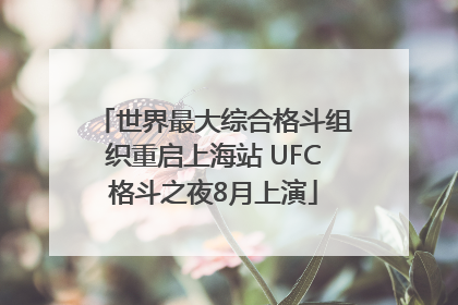 世界最大综合格斗组织重启上海站 UFC格斗之夜8月上演