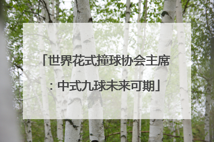 世界花式撞球协会主席：中式九球未来可期