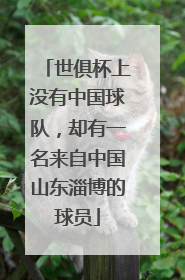 世俱杯上没有中国球队，却有一名来自中国山东淄博的球员