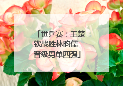 世乒赛：王楚钦战胜林昀儒 晋级男单四强
