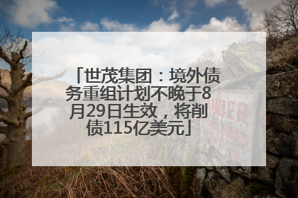世茂集团：境外债务重组计划不晚于8月29日生效，将削债115亿美元