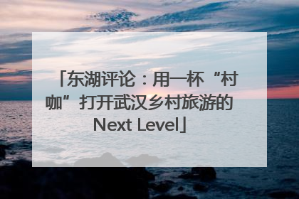 东湖评论：用一杯“村咖”打开武汉乡村旅游的Next Level