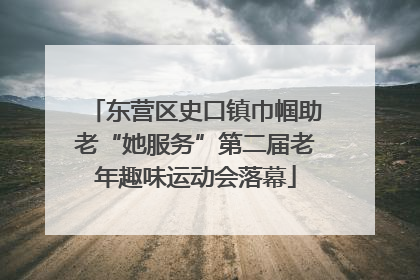 东营区史口镇巾帼助老“她服务”第二届老年趣味运动会落幕