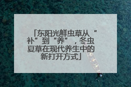 东阳光鲜虫草从“补”到“养”，冬虫夏草在现代养生中的新打开方式