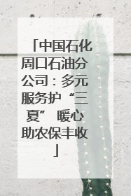中国石化周口石油分公司：多元服务护“三夏” 暖心助农保丰收