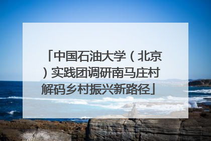 中国石油大学（北京）实践团调研南马庄村解码乡村振兴新路径