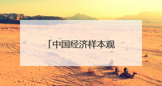 中国经济样本观察丨年创汇千万美元！小提琴之音“响”彻世界