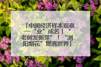 中国经济样本观察·一“业”成名丨“老树发新芽”！“浏阳烟花”燃亮世界