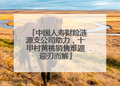 中国人寿财险涟源支公司助力，十甲村黄桃销售难题迎刃而解