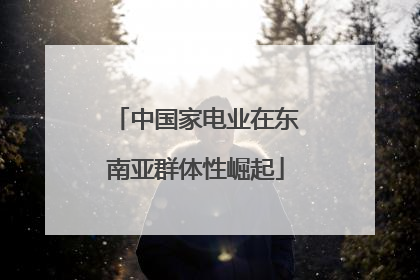 中国家电业在东南亚群体性崛起