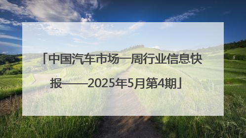 中国汽车市场一周行业信息快报——2025年5月第4期