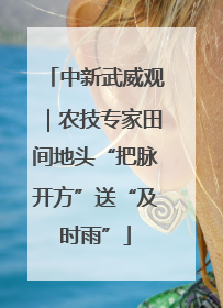 中新武威观｜农技专家田间地头“把脉开方”送“及时雨”