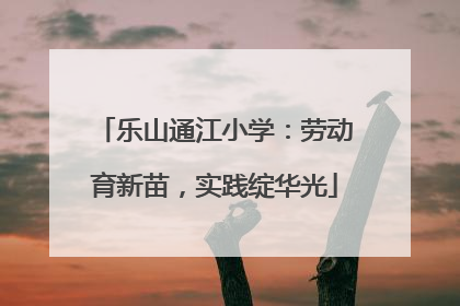 乐山通江小学：劳动育新苗，实践绽华光