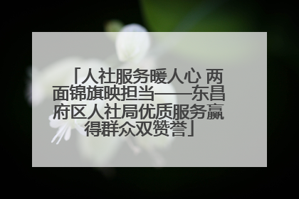 人社服务暖人心 两面锦旗映担当——东昌府区人社局优质服务赢得群众双赞誉