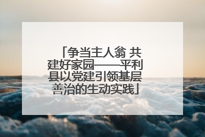 争当主人翁 共建好家园——平利县以党建引领基层善治的生动实践