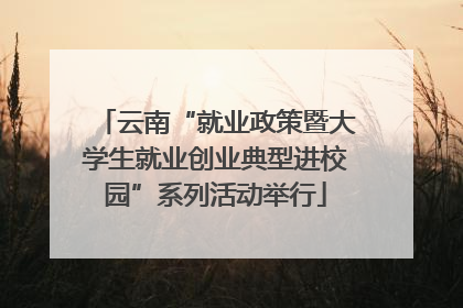 云南“就业政策暨大学生就业创业典型进校园”系列活动举行