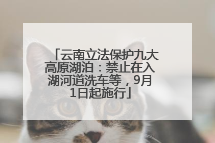 云南立法保护九大高原湖泊：禁止在入湖河道洗车等，9月1日起施行