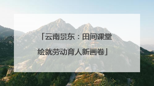 云南景东：田间课堂绘就劳动育人新画卷
