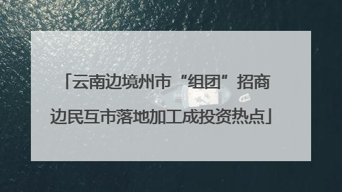 云南边境州市“组团”招商 边民互市落地加工成投资热点