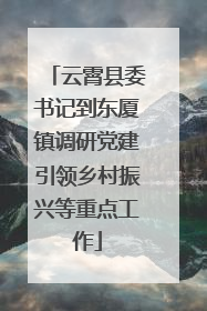 云霄县委书记到东厦镇调研党建引领乡村振兴等重点工作