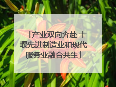 产业双向奔赴 十堰先进制造业和现代服务业融合共生