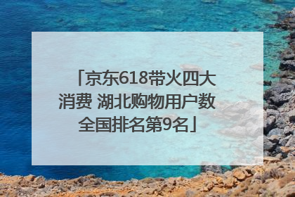 京东618带火四大消费 湖北购物用户数全国排名第9名