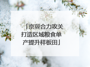 京冀合力攻关打造区域粮食单产提升样板田