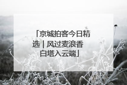 京城拍客今日精选｜风过麦浪香 白塔入云端