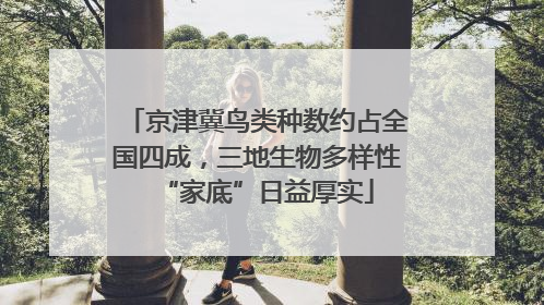 京津冀鸟类种数约占全国四成，三地生物多样性“家底”日益厚实