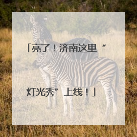 亮了！济南这里“灯光秀”上线！