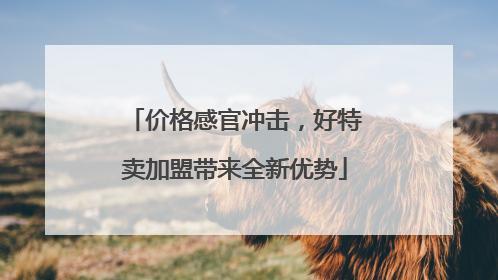 价格感官冲击，好特卖加盟带来全新优势