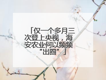 仅一个多月三次登上央视，海安农业何以频频“出圈”