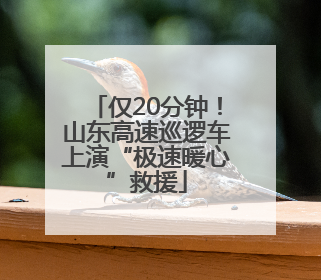 仅20分钟！山东高速巡逻车上演“极速暖心”救援