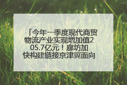 今年一季度现代商贸物流产业实现增加值205.7亿元！廊坊加快构建链接京津冀面向全世界的物流通道