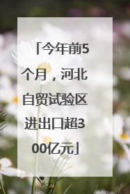 今年前5个月，河北自贸试验区进出口超300亿元