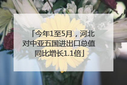 今年1至5月，河北对中亚五国进出口总值同比增长1.1倍