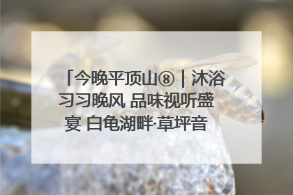 今晚平顶山⑧｜沐浴习习晚风 品味视听盛宴 白龟湖畔·草坪音乐会激情上演