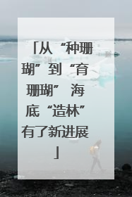 从“种珊瑚”到“育珊瑚” 海底“造林”有了新进展
