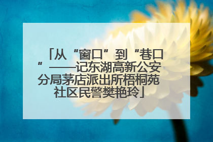 从“窗口”到“巷口”——记东湖高新公安分局茅店派出所梧桐苑社区民警樊艳玲