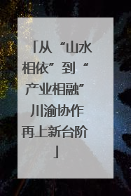 从“山水相依”到“产业相融” 川渝协作再上新台阶
