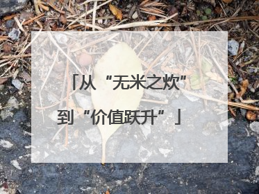 从“无米之炊”到“价值跃升”