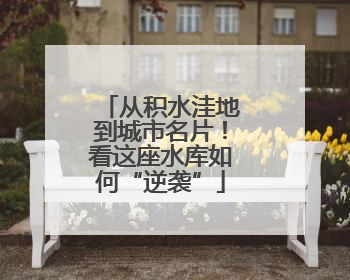 从积水洼地到城市名片！看这座水库如何“逆袭”