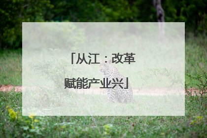 从江：改革赋能产业兴