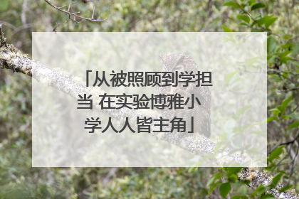 从被照顾到学担当 在实验博雅小学人人皆主角