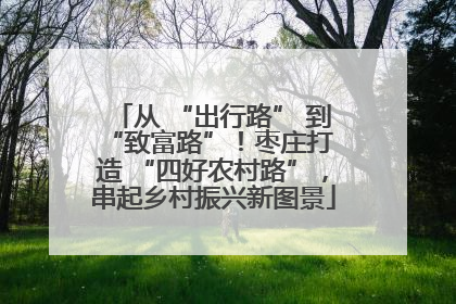 从 “出行路” 到 “致富路”！枣庄打造 “四好农村路”，串起乡村振兴新图景