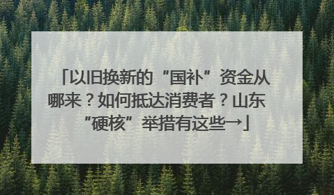以旧换新的“国补”资金从哪来？如何抵达消费者？山东“硬核”举措有这些→