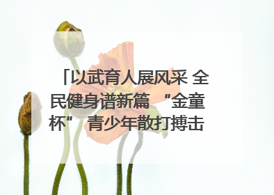 以武育人展风采 全民健身谱新篇 “金童杯” 青少年散打搏击邀请赛圆满落幕