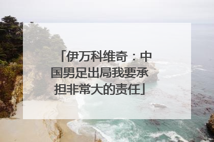 伊万科维奇：中国男足出局我要承担非常大的责任