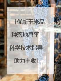 优新玉米品种落地昌平 科学技术指导助力丰收
