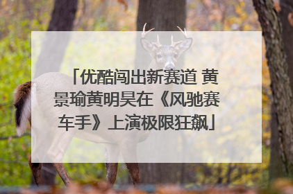 优酷闯出新赛道 黄景瑜黄明昊在《风驰赛车手》上演极限狂飙